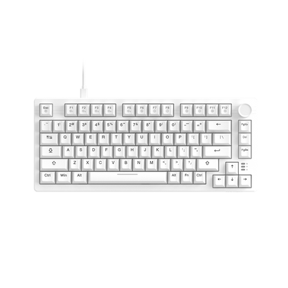 DAREU EK75 | Compact 75-Key Rainbow Wired Gasket Gaming Keyboard - Dareu