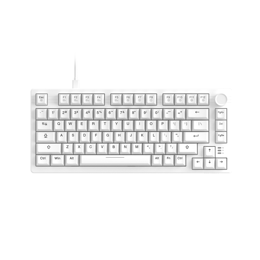 DAREU EK75 | Compact 75-Key Rainbow Wired Gasket Gaming Keyboard - Dareu