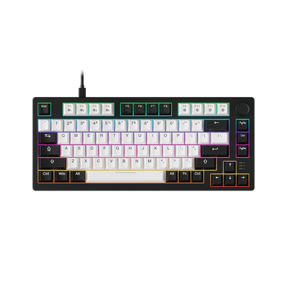 DAREU EK75 | Wholesale Compact 75-Key Rainbow Wired Gasket Gaming Keyboard - Dareu
