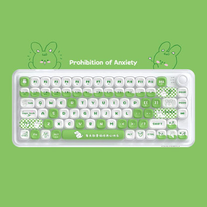 DAREU Z82 Theme with Master switch | Wireless Custom Keyboard - Dareu