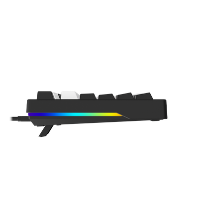 DAREU EK75 | Compact 75-Key Rainbow Wired Gasket Gaming Keyboard - Dareu