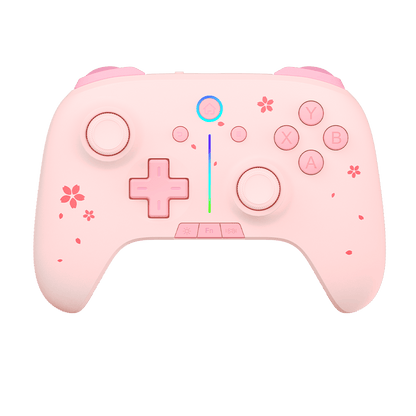 DAREU H106 PRO | Wireless Gaming Controller with Charging Dock - Dareu