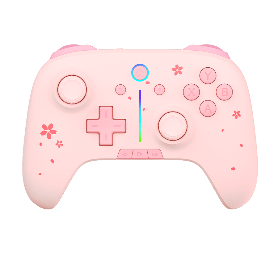 DAREU H106 PRO | Wireless Gaming Controller with Charging Dock - Dareu