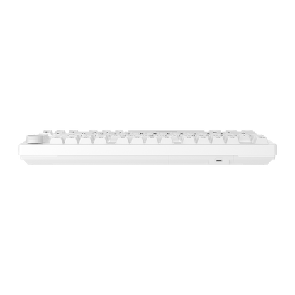 DAREU EK75 | Compact 75-Key Rainbow Wired Gasket Gaming Keyboard - Dareu