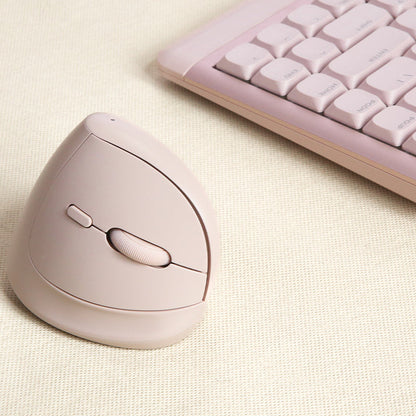 DAREU Z16  |  Silent & Vertical Design for Small Hands Mouse - Dareu