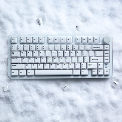 DAREU A75 HE | Wired Aluminum Gaming Keyboard with Magnetic switches - Dareu