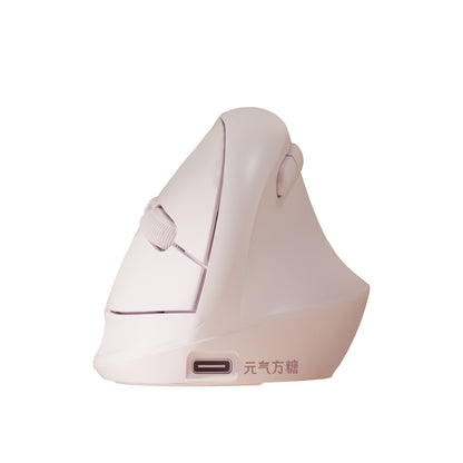 DAREU Z16  |  Silent & Vertical Design for Small Hands Mouse - Dareu