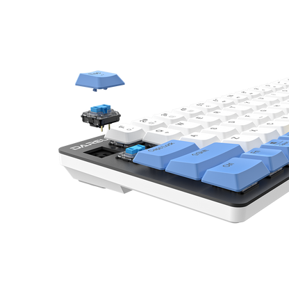 DAREU EK868 | Wholesale Wireless Low-Profile Mechanical Keyboard - Dareu