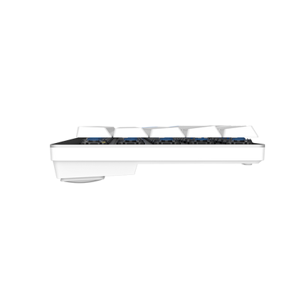 DAREU EK868 | Wholesale Wireless Low-Profile Mechanical Keyboard - Dareu